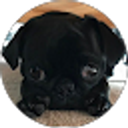 Profile photo of Ashlyn Bailey