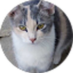 Profile photo of Bill Schooley