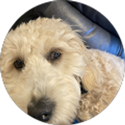 Profile photo of Logan Boyd