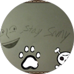 Profile photo of SammyLetzPlayz