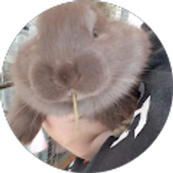 Profile photo of Melony Nieto