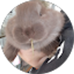 Profile photo of Melony Nieto