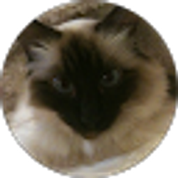 Profile photo of Jassy W