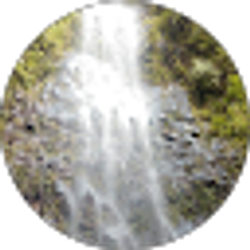 Profile photo of Macedonia Parks
