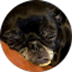 Profile photo of Jenna Burns