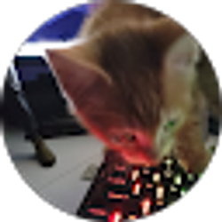 Profile photo of Ariel