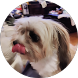 Profile photo of Michael Dy