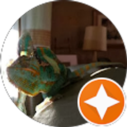 Profile photo of Trevor Grayson