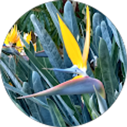 Profile photo of Tom S