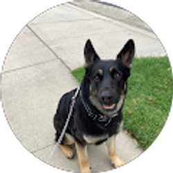 Profile photo of Cody Flores