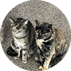 Profile photo of Donna's