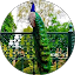 Profile photo of ofreciano portillo