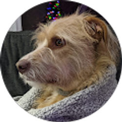 Profile photo of Joann Moore