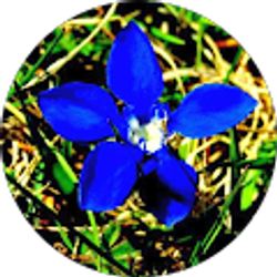 Profile photo of Дражен Жугић