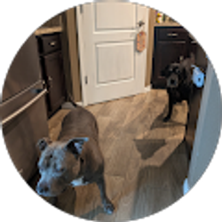 Profile photo of Coralyz Gonzalez