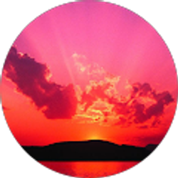 Profile photo of Megan VanNess