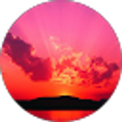 Profile photo of Megan VanNess