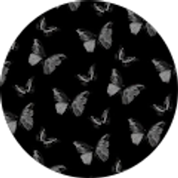 Profile photo of Kaydi Umbreit