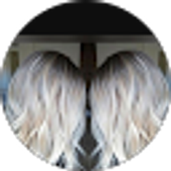 Profile photo of Kelly Dambrosio