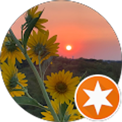 Profile photo of Ingy J