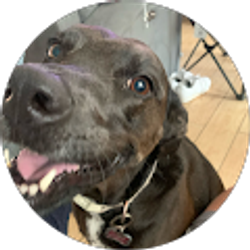 Profile photo of Diego Elias Villafana