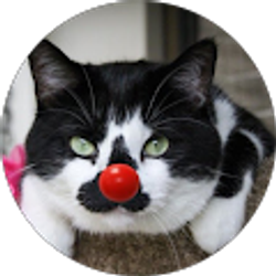 Profile photo of Lovely Rita MeterMaid