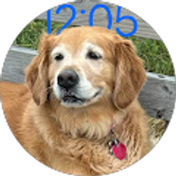 Profile photo of Kimberly Hall