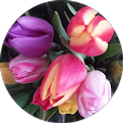 Profile photo of Tiffany Brinkley