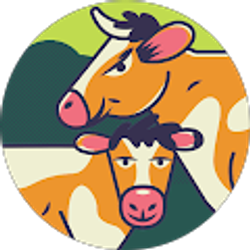 Profile photo of Lashey Ward