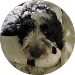 Profile photo of Rhonda Hill