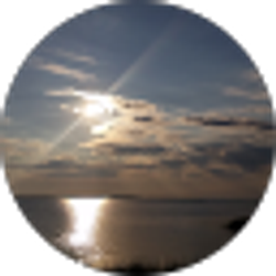 Profile photo of Steven White