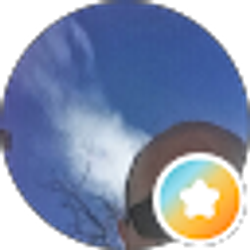 Profile photo of matthew fontis