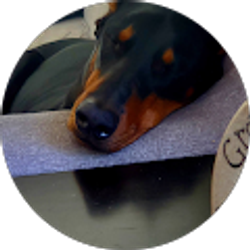 Profile photo of Kelly Garecht