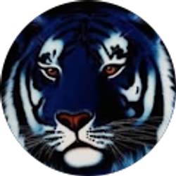 Profile photo of Tony Wilkes