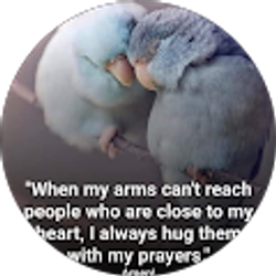 Profile photo of Angelbtrfly