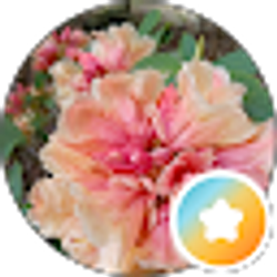 Profile photo of Scott Minnitti