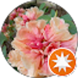 Profile photo of Scott Minnitti