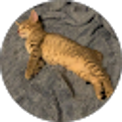 Profile photo of Andrea P
