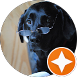 Profile photo of James Morgan