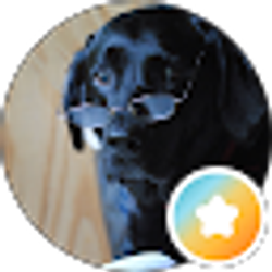 Profile photo of James Morgan