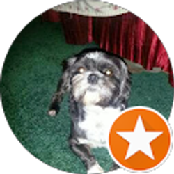 Profile photo of Donald Merchant