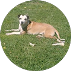 Profile photo of Mel Smith