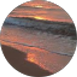 Profile photo of Brody Thomas