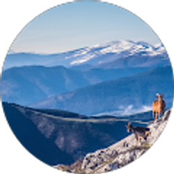 Profile photo of makeba Alston