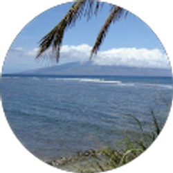 Profile photo of Ginn Sampson