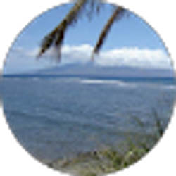 Profile photo of Ginn Sampson