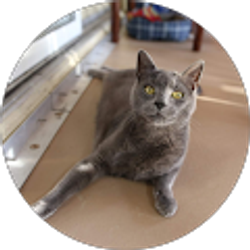 Profile photo of Michael Hernandez