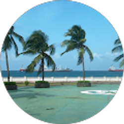 Profile photo of Gillian Hall