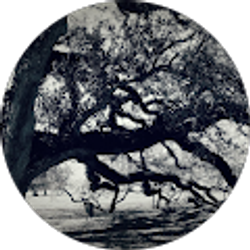 Profile photo of Samantha Hernandez