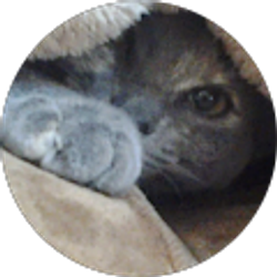 Profile photo of Nick O'Bryan